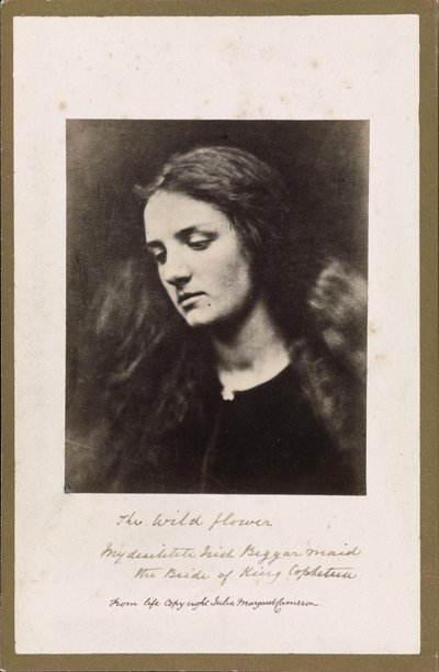 The Wild Flower by Julia Margaret Cameron